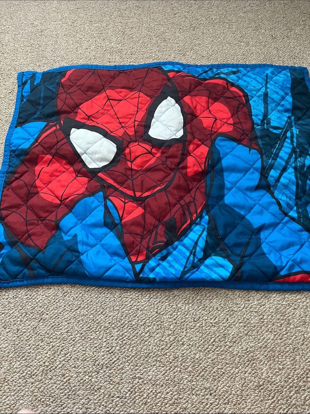 Spider-Man Kids Blue and Red Quilted Pillow Sham